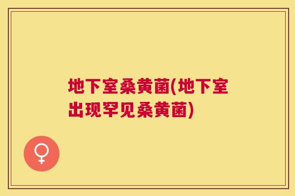 地下室桑黄菌(地下室出现罕见桑黄菌) 地下室桑黄菌(地下室出现罕见桑黄菌)