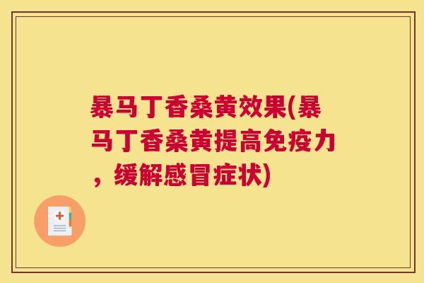 暴马丁香桑黄效果(暴马丁香桑黄提高力,缓解症状) 暴马丁香桑黄效果(暴马丁香桑黄提高力,缓解症状)