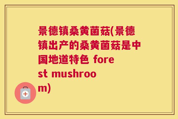 景德镇桑黄菌菇(景德镇出产的桑黄菌菇是中国地道特色 forest mushroom) 景德镇桑黄菌菇(景德镇出产的桑黄菌菇是中国地道特色 forest mushroom)