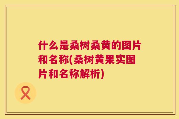 什么是桑树桑黄的图片和名称(桑树黄果实图片和名称解析) 什么是桑树桑黄的图片和名称(桑树黄果实图片和名称解析)