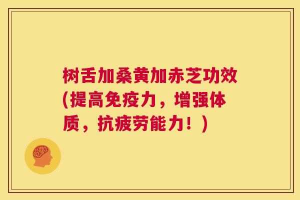 树舌加桑黄加赤芝功效(提高力,增强体质,能力!) 树舌加桑黄加赤芝功效(提高力,增强体质,能力!)