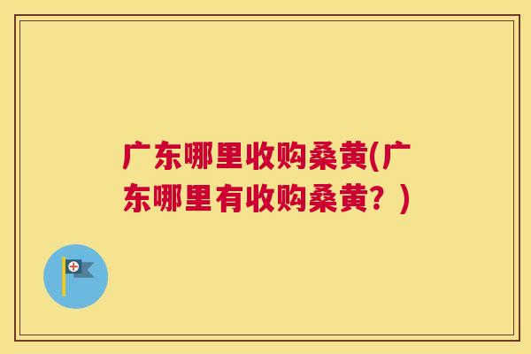 广东哪里收购桑黄(广东哪里有收购桑黄?) 广东哪里收购桑黄(广东哪里有收购桑黄?)