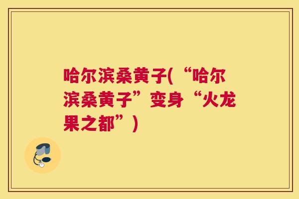 哈尔滨桑黄子(“哈尔滨桑黄子”变身“火龙果之都”) 哈尔滨桑黄子(“哈尔滨桑黄子”变身“火龙果之都”)