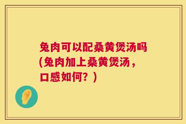 兔肉可以配桑黄煲汤吗(兔肉加上桑黄煲汤,口感如何?) 兔肉可以配桑黄煲汤吗(兔肉加上桑黄煲汤,口感如何?)