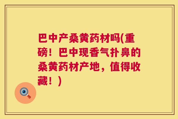 巴中产桑黄药材吗(重磅!巴中现香气扑鼻的桑黄药材产地,值得收藏!) 巴中产桑黄药材吗(重磅!巴中现香气扑鼻的桑黄药材产地,值得收藏!)