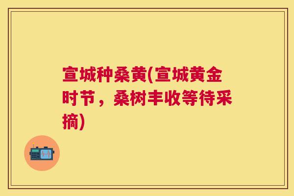 宣城种桑黄(宣城黄金时节,桑树丰收等待采摘) 宣城种桑黄(宣城黄金时节,桑树丰收等待采摘)