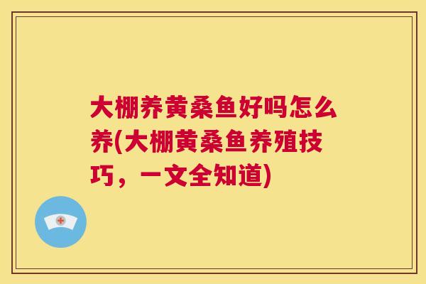 大棚养黄桑鱼好吗怎么养(大棚黄桑鱼养殖技巧,一文全知道) 大棚养黄桑鱼好吗怎么养(大棚黄桑鱼养殖技巧,一文全知道)