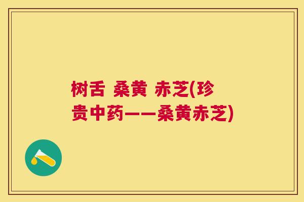 树舌 桑黄 赤芝(珍贵——桑黄赤芝) 树舌 桑黄 赤芝(珍贵——桑黄赤芝)