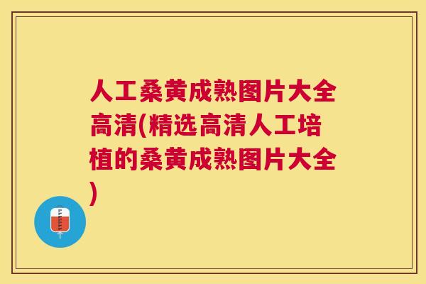 人工桑黄成熟图片大全高清(精选高清人工培植的桑黄成熟图片大全) 人工桑黄成熟图片大全高清(精选高清人工培植的桑黄成熟图片大全)
