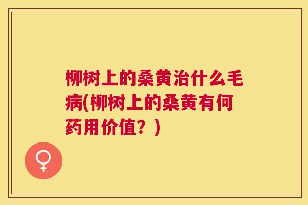 柳树上的桑黄什么毛(柳树上的桑黄有何药用价值?) 柳树上的桑黄什么毛(柳树上的桑黄有何药用价值?)