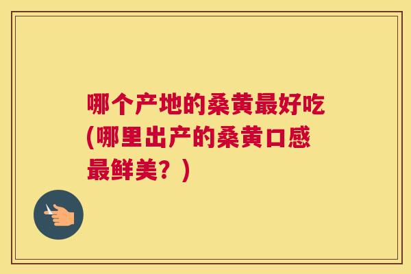 哪个产地的桑黄好吃(哪里出产的桑黄口感鲜美?) 哪个产地的桑黄好吃(哪里出产的桑黄口感鲜美?)
