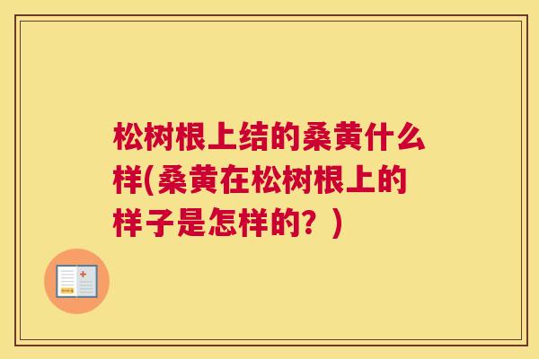 松树根上结的桑黄什么样(桑黄在松树根上的样子是怎样的?) 松树根上结的桑黄什么样(桑黄在松树根上的样子是怎样的?)