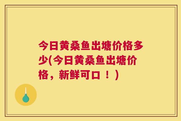 今日黄桑鱼出塘价格多少(今日黄桑鱼出塘价格,新鲜可口 !) 今日黄桑鱼出塘价格多少(今日黄桑鱼出塘价格,新鲜可口 !)