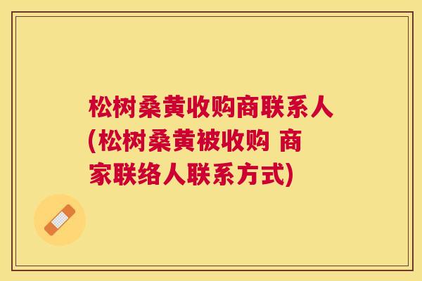 松树桑黄收购商联系人(松树桑黄被收购 商家联络人联系方式) 松树桑黄收购商联系人(松树桑黄被收购 商家联络人联系方式)