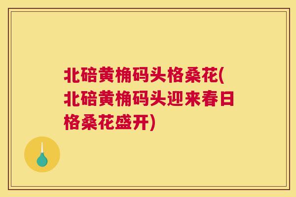 北碚黄桷码头格桑花(北碚黄桷码头迎来春日格桑花盛开) 北碚黄桷码头格桑花(北碚黄桷码头迎来春日格桑花盛开)