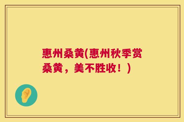 惠州桑黄(惠州秋季赏桑黄,美不胜收!) 惠州桑黄(惠州秋季赏桑黄,美不胜收!)