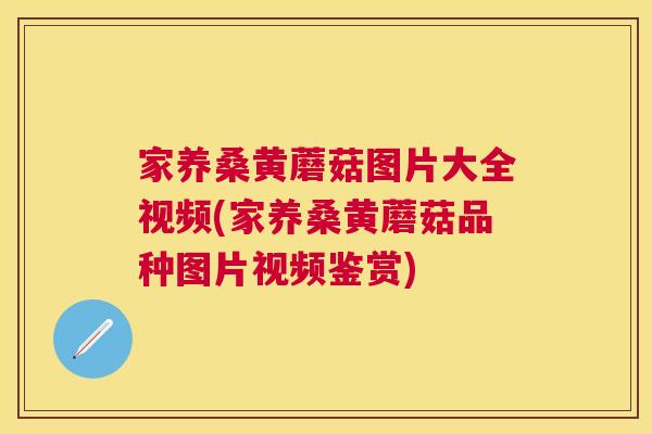 家养桑黄蘑菇图片大全视频(家养桑黄蘑菇品种图片视频鉴赏) 家养桑黄蘑菇图片大全视频(家养桑黄蘑菇品种图片视频鉴赏)