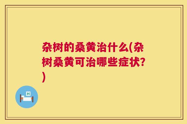 杂树的桑黄什么(杂树桑黄可哪些症状?) 杂树的桑黄什么(杂树桑黄可哪些症状?)