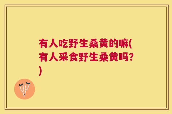 有人吃野生桑黄的嘛(有人采食野生桑黄吗?) 有人吃野生桑黄的嘛(有人采食野生桑黄吗?)