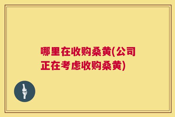 哪里在收购桑黄(公司正在考虑收购桑黄) 哪里在收购桑黄(公司正在考虑收购桑黄)