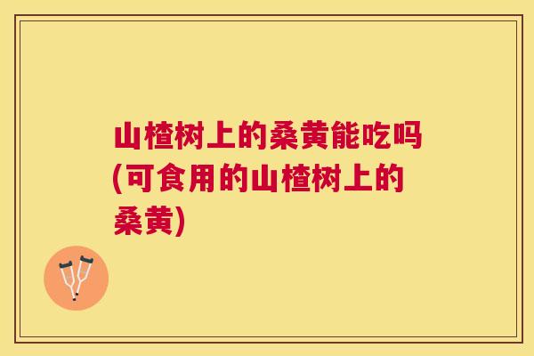 山楂树上的桑黄能吃吗(可食用的山楂树上的桑黄) 山楂树上的桑黄能吃吗(可食用的山楂树上的桑黄)