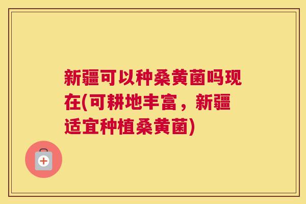 新疆可以种桑黄菌吗现在(可耕地丰富,新疆适宜种植桑黄菌) 新疆可以种桑黄菌吗现在(可耕地丰富,新疆适宜种植桑黄菌)