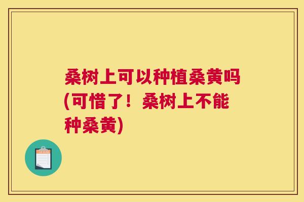桑树上可以种植桑黄吗(可惜了!桑树上不能种桑黄) 桑树上可以种植桑黄吗(可惜了!桑树上不能种桑黄)
