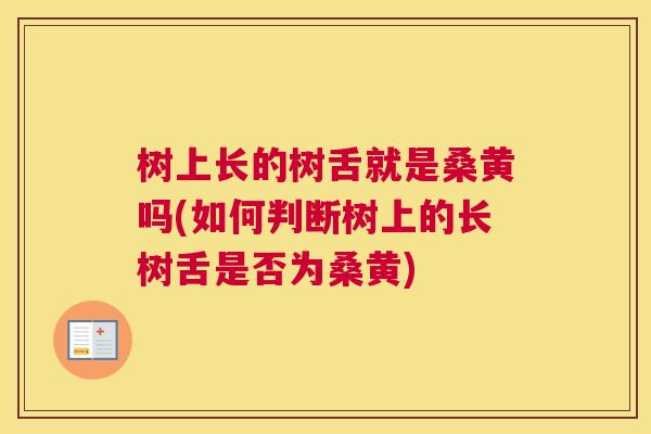 树上长的树舌就是桑黄吗(如何判断树上的长树舌是否为桑黄) 树上长的树舌就是桑黄吗(如何判断树上的长树舌是否为桑黄)