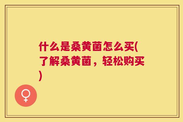 什么是桑黄菌怎么买(了解桑黄菌,轻松购买) 什么是桑黄菌怎么买(了解桑黄菌,轻松购买)