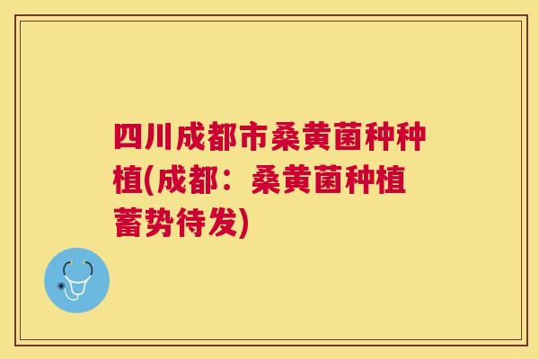 四川成都市桑黄菌种种植(成都:桑黄菌种植蓄势待发) 四川成都市桑黄菌种种植(成都:桑黄菌种植蓄势待发)