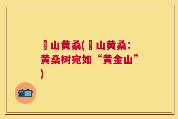 崀山黄桑(崀山黄桑:黄桑树宛如“黄金山”) 崀山黄桑(崀山黄桑:黄桑树宛如“黄金山”)