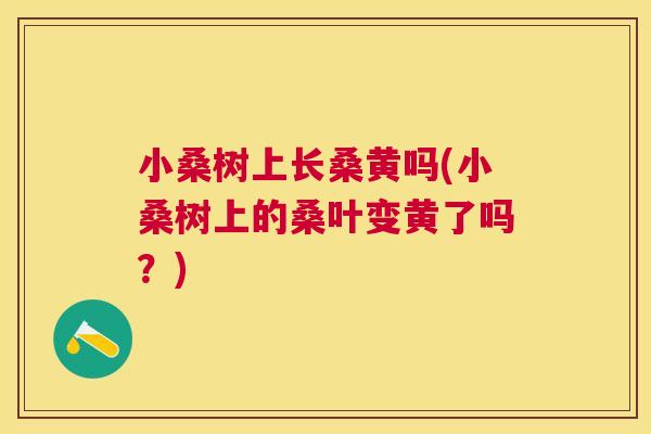 小桑树上长桑黄吗(小桑树上的桑叶变黄了吗?) 小桑树上长桑黄吗(小桑树上的桑叶变黄了吗?)