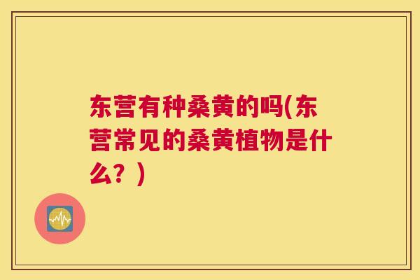 东营有种桑黄的吗(东营常见的桑黄植物是什么?) 东营有种桑黄的吗(东营常见的桑黄植物是什么?)