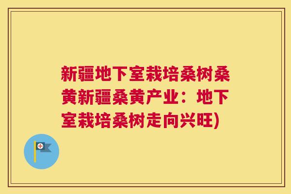 新疆地下室栽培桑树桑黄新疆桑黄产业:地下室栽培桑树走向兴旺) 新疆地下室栽培桑树桑黄新疆桑黄产业:地下室栽培桑树走向兴旺)