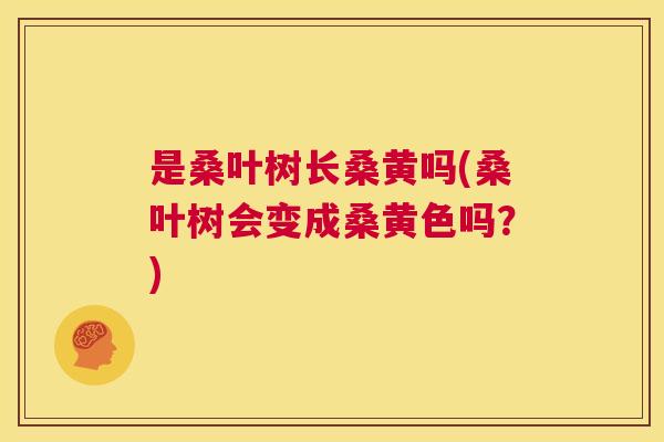 是桑叶树长桑黄吗(桑叶树会变成桑黄色吗?) 是桑叶树长桑黄吗(桑叶树会变成桑黄色吗?)