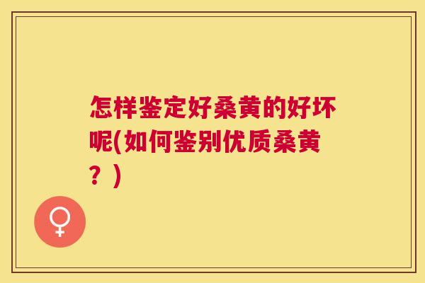 怎样鉴定好桑黄的好坏呢(如何鉴别优质桑黄?) 怎样鉴定好桑黄的好坏呢(如何鉴别优质桑黄?)