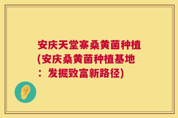 安庆天堂寨桑黄菌种植(安庆桑黄菌种植基地:发掘致富新路径) 安庆天堂寨桑黄菌种植(安庆桑黄菌种植基地:发掘致富新路径)