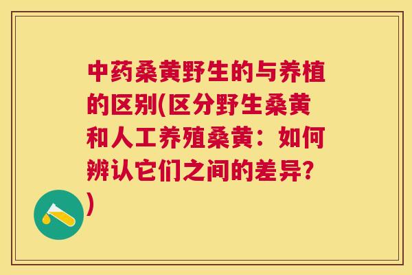 桑黄野生的与养植的区别(区分野生桑黄和人工养殖桑黄:如何辨认它们之间的差异?) 桑黄野生的与养植的区别(区分野生桑黄和人工养殖桑黄:如何辨认它们之间的差异?)