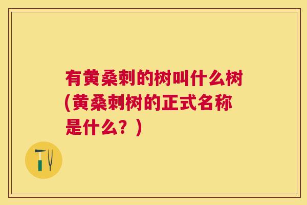 有黄桑刺的树叫什么树(黄桑刺树的正式名称是什么?) 有黄桑刺的树叫什么树(黄桑刺树的正式名称是什么?)