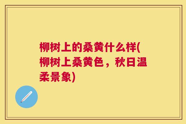 柳树上的桑黄什么样(柳树上桑黄色,秋日温柔景象) 柳树上的桑黄什么样(柳树上桑黄色,秋日温柔景象)