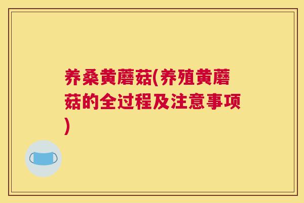 养桑黄蘑菇(养殖黄蘑菇的全过程及注意事项) 养桑黄蘑菇(养殖黄蘑菇的全过程及注意事项)
