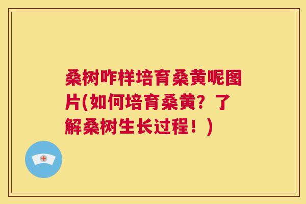 桑树咋样培育桑黄呢图片(如何培育桑黄?了解桑树生长过程!) 桑树咋样培育桑黄呢图片(如何培育桑黄?了解桑树生长过程!)
