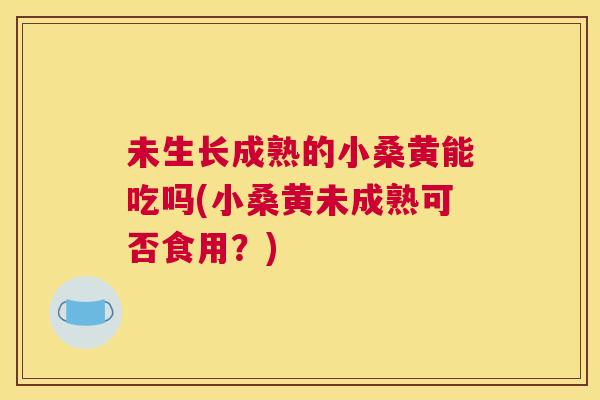 未生长成熟的小桑黄能吃吗(小桑黄未成熟可否食用?) 未生长成熟的小桑黄能吃吗(小桑黄未成熟可否食用?)