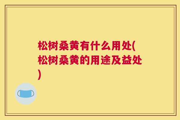 松树桑黄有什么用处(松树桑黄的用途及益处) 松树桑黄有什么用处(松树桑黄的用途及益处)