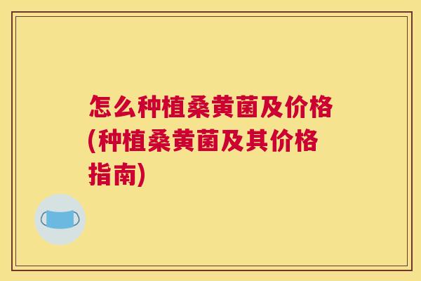 怎么种植桑黄菌及价格(种植桑黄菌及其价格指南)