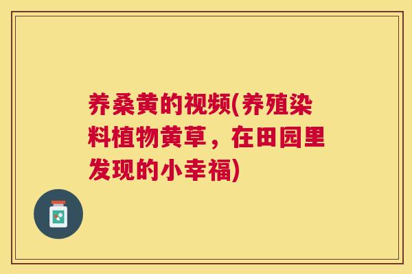 养桑黄的视频(养殖染料植物黄草,在田园里发现的小幸福) 养桑黄的视频(养殖染料植物黄草,在田园里发现的小幸福)