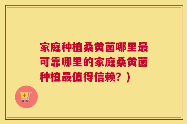家庭种植桑黄菌哪里可靠哪里的家庭桑黄菌种植值得信赖?) 家庭种植桑黄菌哪里可靠哪里的家庭桑黄菌种植值得信赖?)