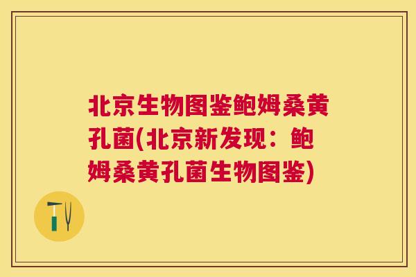 北京生物图鉴鲍姆桑黄孔菌(北京新发现:鲍姆桑黄孔菌生物图鉴) 北京生物图鉴鲍姆桑黄孔菌(北京新发现:鲍姆桑黄孔菌生物图鉴)