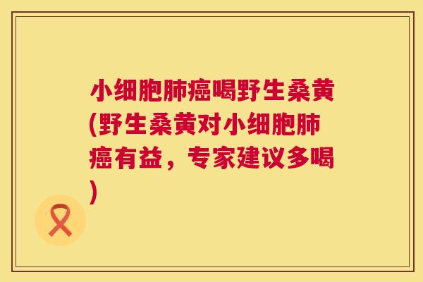 小细胞喝野生桑黄(野生桑黄对小细胞有益,专家建议多喝) 小细胞喝野生桑黄(野生桑黄对小细胞有益,专家建议多喝)