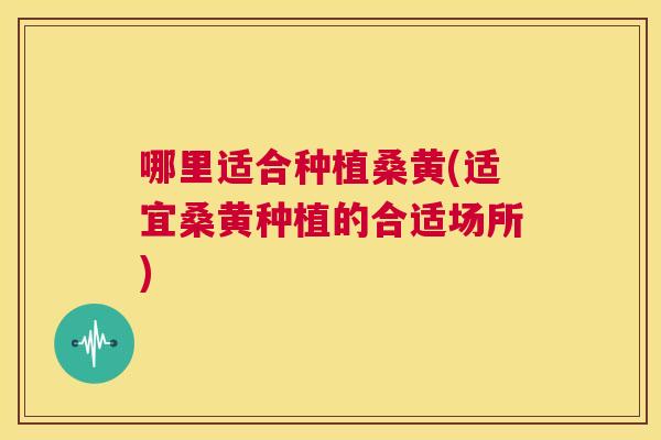 哪里适合种植桑黄(适宜桑黄种植的合适场所) 哪里适合种植桑黄(适宜桑黄种植的合适场所)